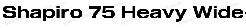Shapiro 75 Heavy Wide字体转换